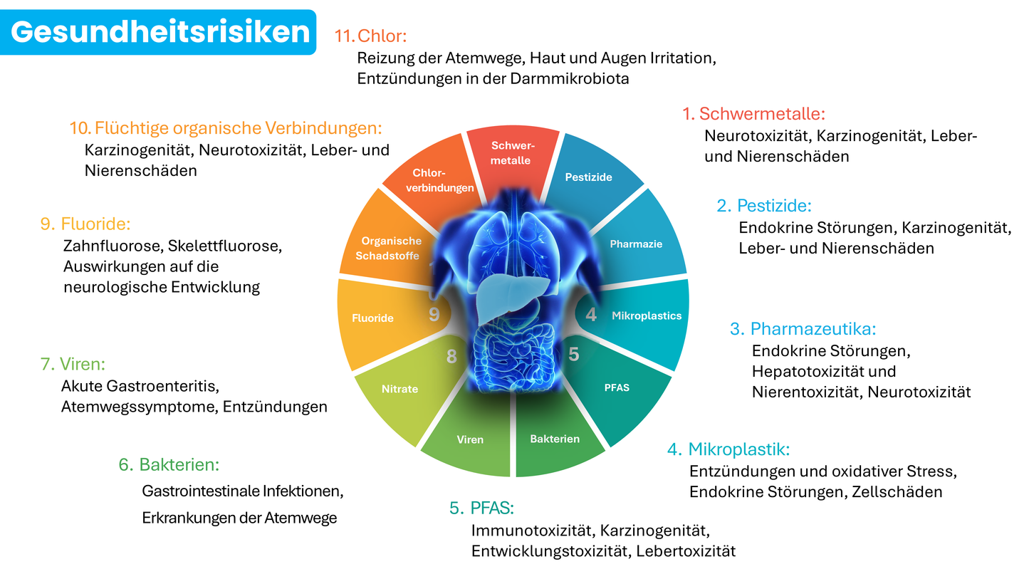 Grafik zu Gesundheitsrisiken durch Schadstoffe im Trinkwasser, zeigt 11 Hauptkategorien wie Schwermetalle, Pestizide, PFAS, Mikroplastik, Bakterien, Viren und Chlor mit ihren Auswirkungen auf Nerven-, Leber- und Immunsystem.