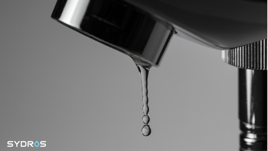 Was passiert, wenn ein Wasserfilter zu lange unbenutzt bleibt?