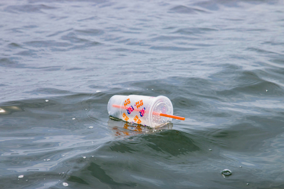 Vom Fluss zum Gehirn — Dem Weg der Plastikverschmutzung folgen