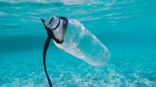 Unsichtbare Gifte: Phenole und Phthalate in Ihrem Trinkwasser