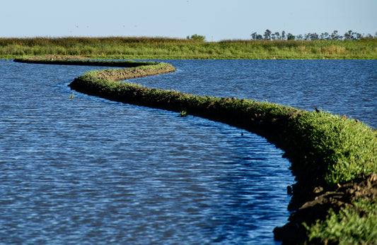 Biofilm in Wassersystemen: Das unsichtbare Risiko