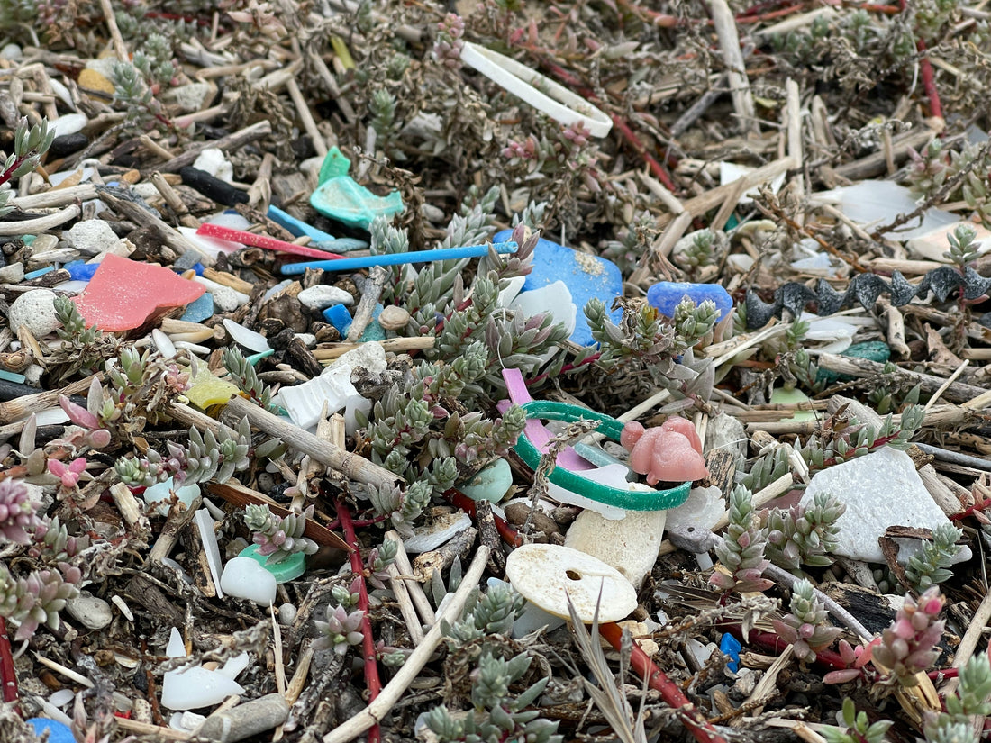 PFAS: Die unsichtbaren Chemikalien, die Generationen überdauern