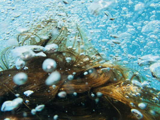 Biofilme in Leitungen – unsichtbare Risiken im Trinkwassersystem